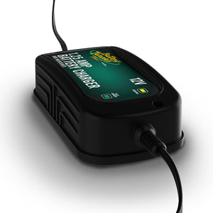 Plus High Efficiency 1.25 Amp Charger.